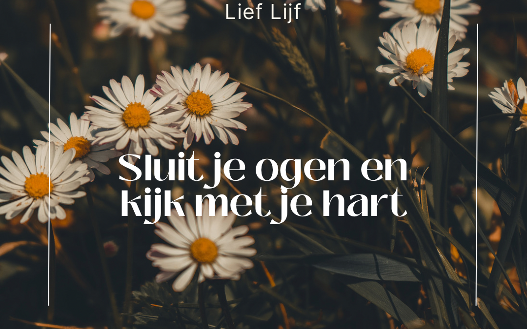 Sluit je ogen en kijk met je hart